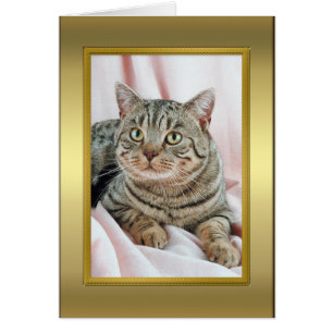 Carte Pedigree Cat