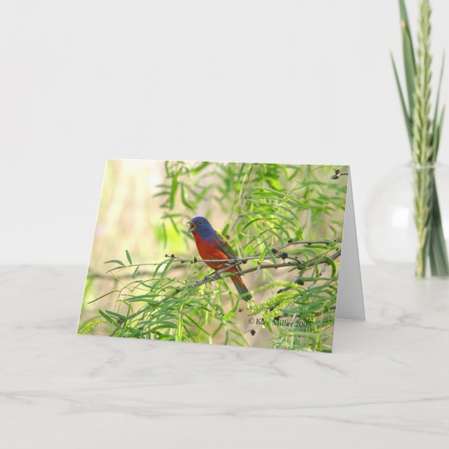 Carte Peint Bunting spécial-4 (Devant)
