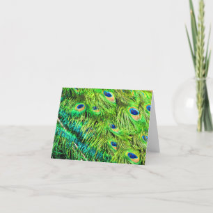 Carte Peinture de paon