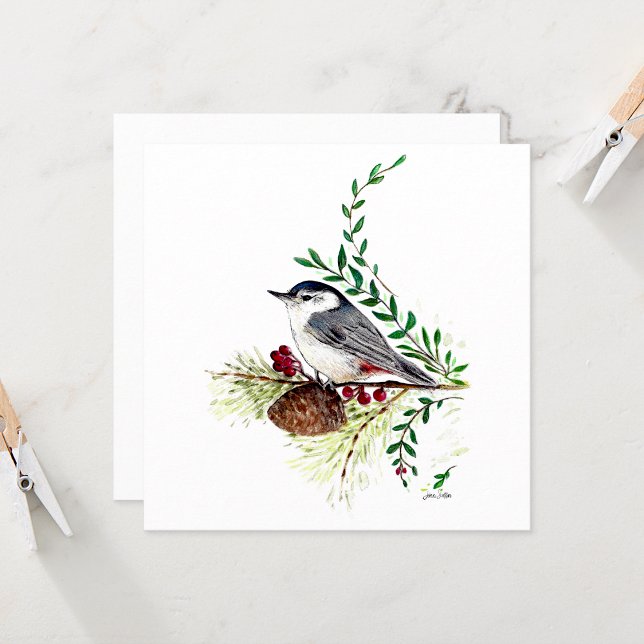 Carte Peinture d'oiseaux de Nuthatch (Nuthatch Bird Painting Card from Jenn's Emporium. )