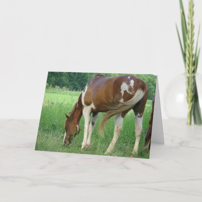 Carte Peinture Mare (Devant)