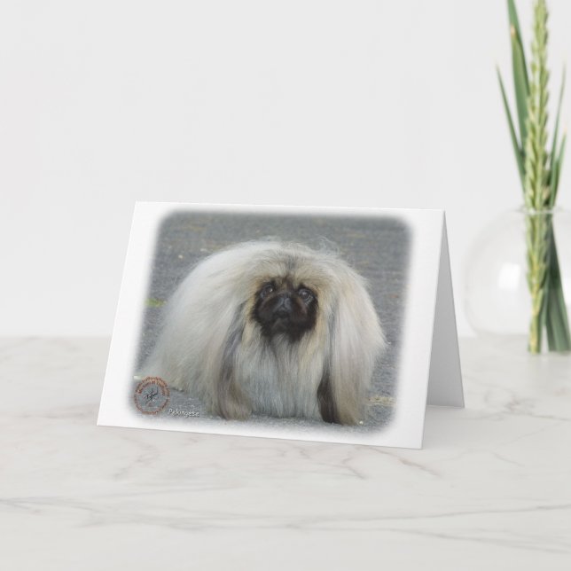 Carte Pekingese 9R072D-026 (Devant)