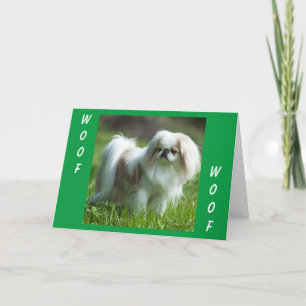 Carte Pekingese dit WOOF WOOF (heureux anniversaire)