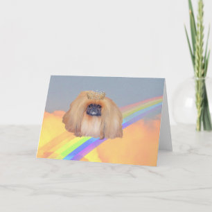 Carte Pékinois Arc-en-ciel