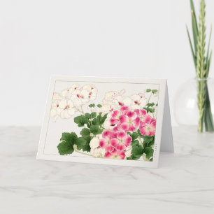 Carte Pelargonium par Tanigami Konan
