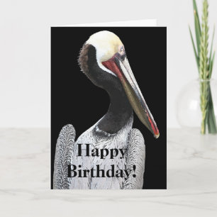 Carte Pelican Birds Animaux sauvages Plage