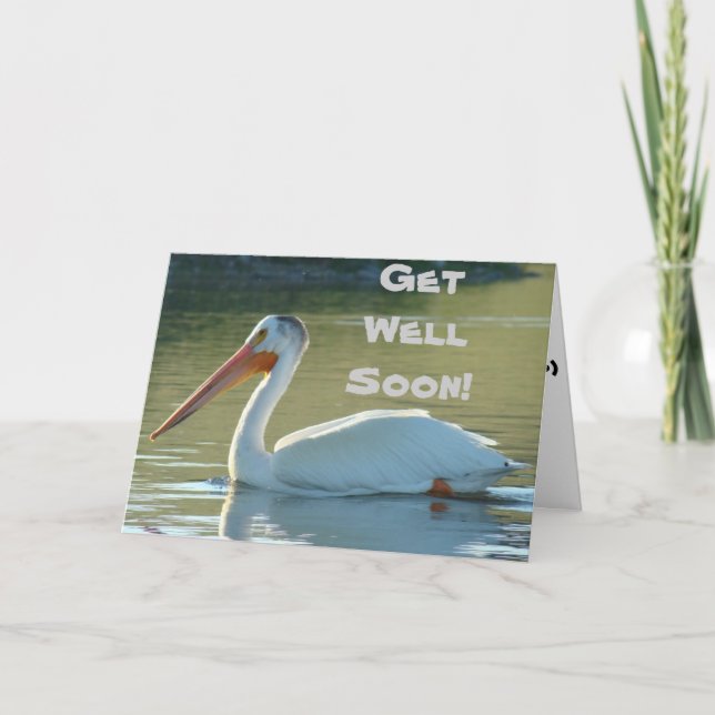 Carte Pélican blanc B4 (Devant)