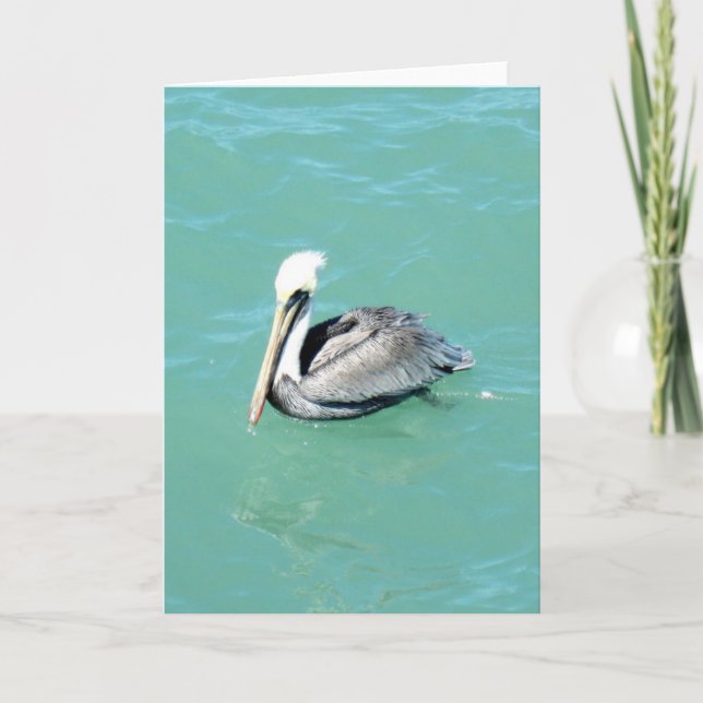 Carte Pelican. Greeting Card (Devant)