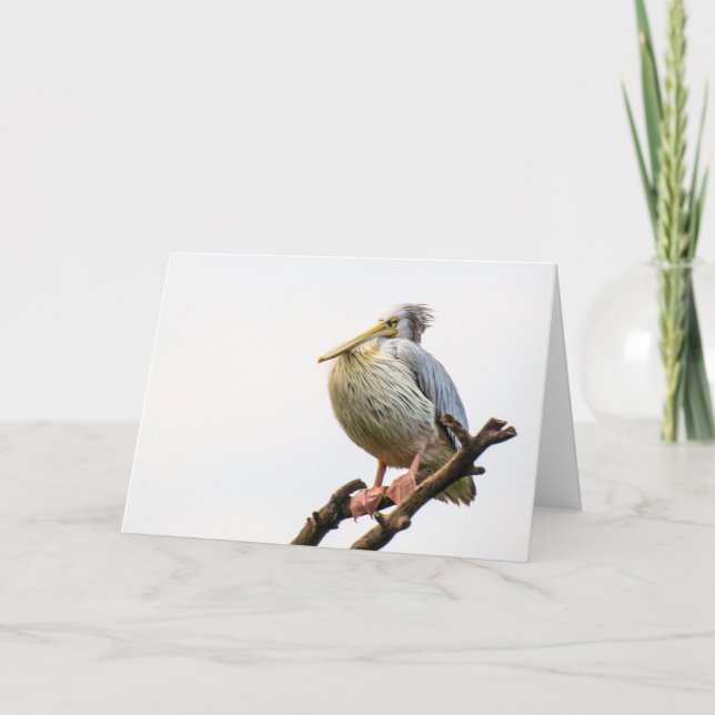 Carte Pélican, Tanzanie (Devant)