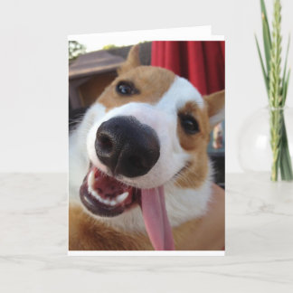 Carte Pembroke rouge et blanc Corgi gallois