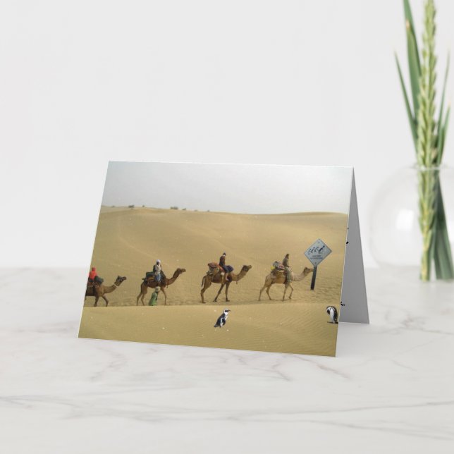 Carte Penguin in the Desert Card (Devant)