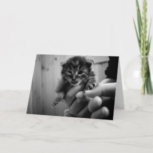 Carte Pense à Mew !