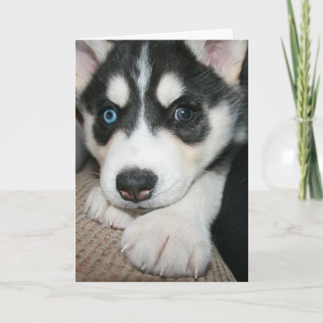 Carte Pense à toi ! (Devant)