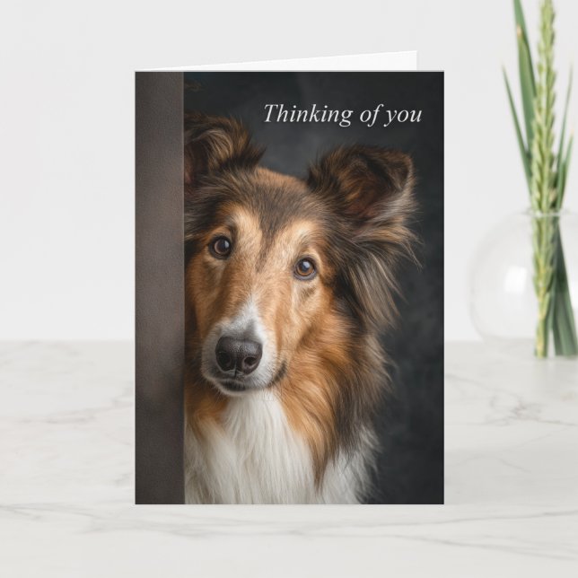 Carte Pense à toi Collie (Devant)