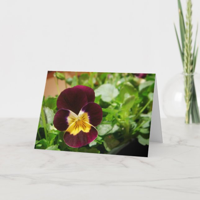 Carte Pensée (Devant)