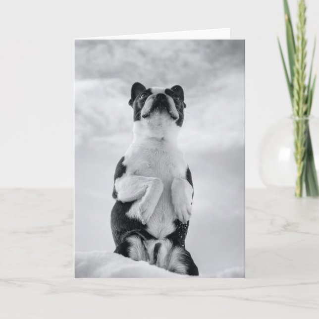 Carte Pensée à U (Devant)