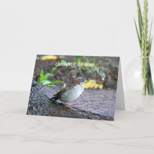 Carte pensée à vous… (Devant)