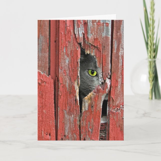 Carte Pensée à vous chat (Devant)