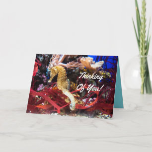 Carte Pensée à vous hippocampe