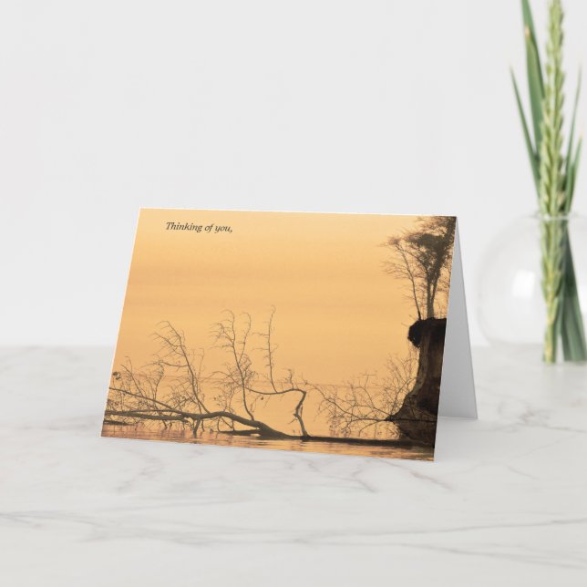 Carte Pensée à vous photographie de l'eau de sépia de (Devant)