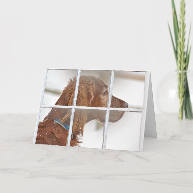 Carte pensée au poseur vous-Irlandais dans la neige (Devant)