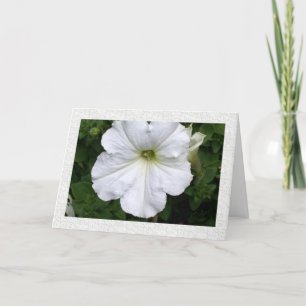 Carte Pensées de vous Petunia