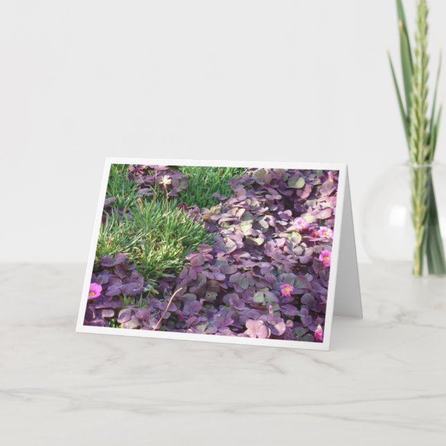 Carte Pensées pourpres (Devant)