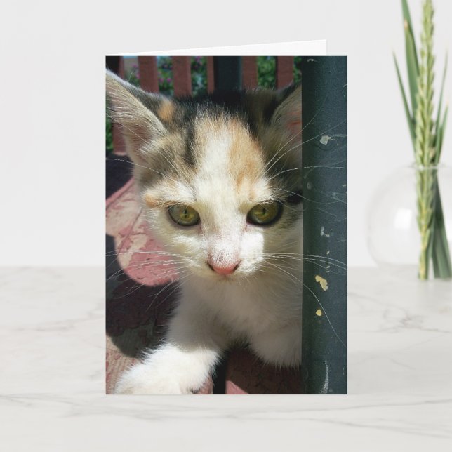 Carte Penser À Vous (Devant)