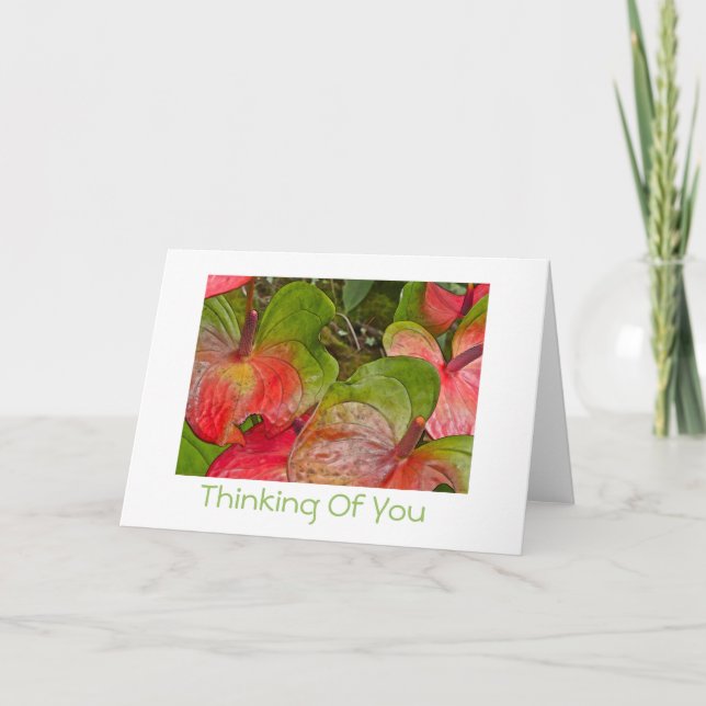 Carte Penser à vous/ Anthuriums rouge et vert/blanc dans (Devant)