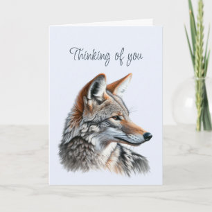 Carte Penser à vous belle Coyote Faune Animaux