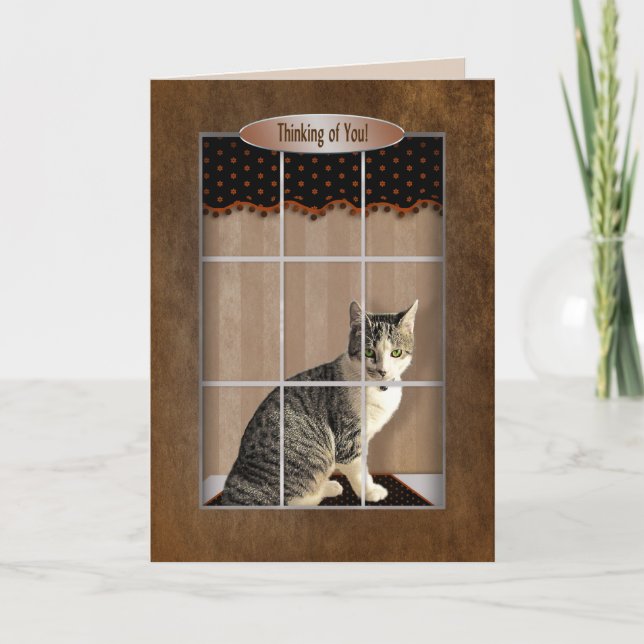 Carte Penser à vous - Chat regarder par la fenêtre (Devant)