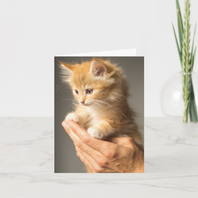 Carte Penser À Vous Chaud Amoureux des chats Kitten Fuzz (Devant)