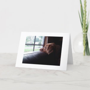 CARTE PENSER À VOUS ET VOUS MANQUER TROP SAD PUPPY DIT