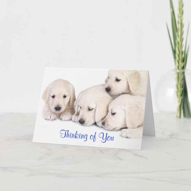 Carte Penser à vous Labrador Retriever Puppies Card (Devant)