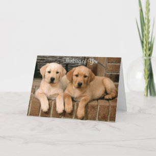 Carte Penser à vous Labrador Retriever Puppies Card