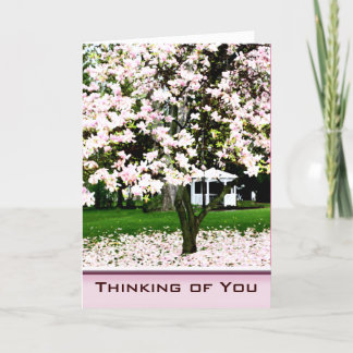 Carte Penser à vous Magnolia Tree Greeting Card