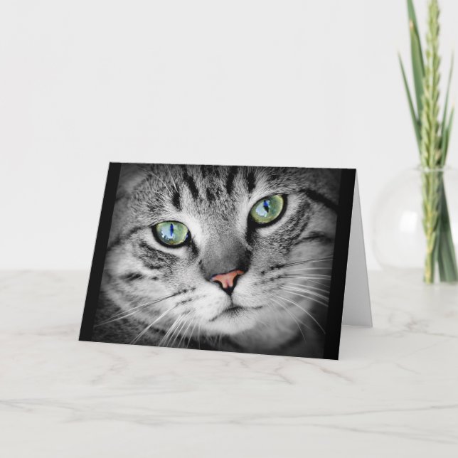 Carte Penser à vous mignon gris Kitty Cat Card (Devant)