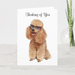 Carte Penser à vous Poodle Greeting Card - Verse