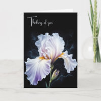 Penser à vous pourpre Iris Blossom