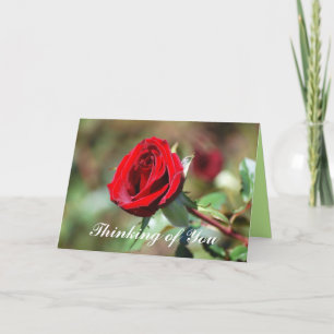 Carte Penser à vous Red Rose Blank Card