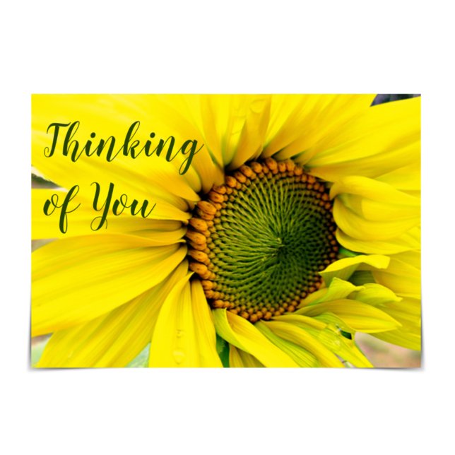 Carte "Penser à vous" Sunny Thoughts Sunflower Card (Créateur téléchargé)