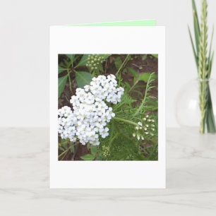 Carte Pensez à vous