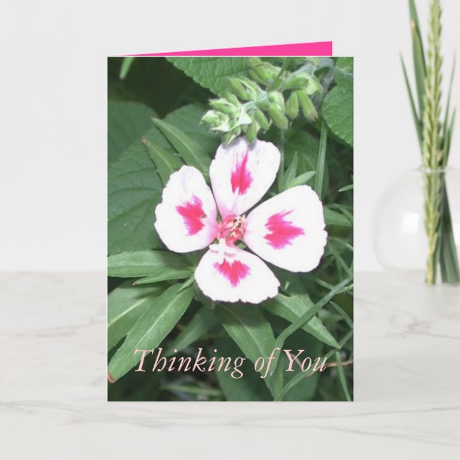 Carte Pensez à vous (Devant)