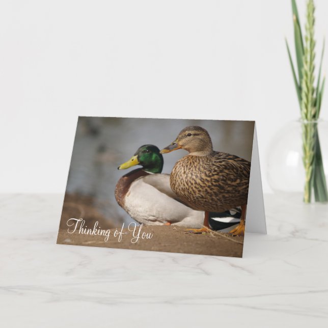 Carte "Pensez à vous" Canards (Devant)