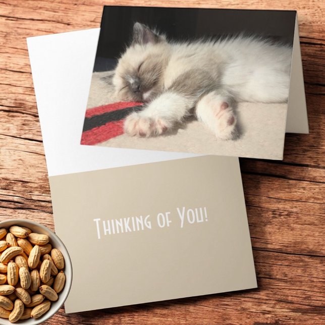 Carte Pensez à vous dormant Siamese Kitten photo (Folding greeting card cover and inside template text )