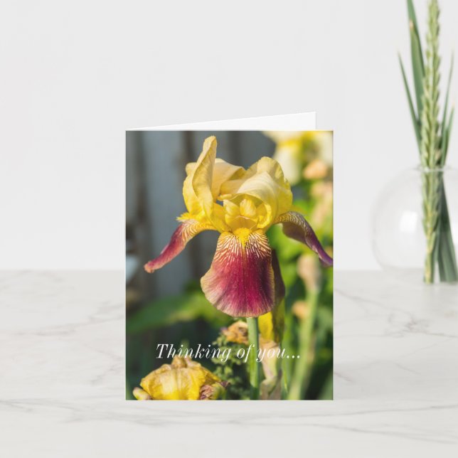 Carte Pensez à vous Heirloom Iris (Devant)