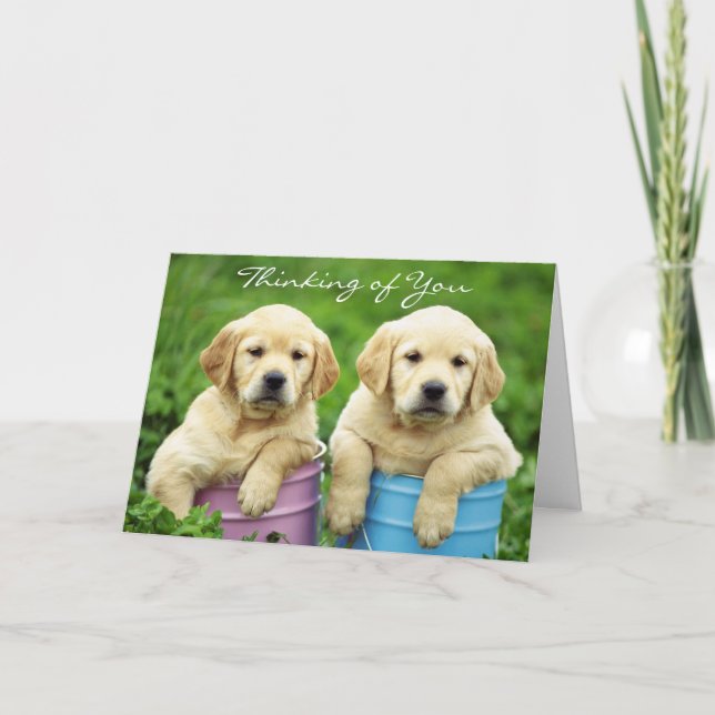 Carte Pensez à vous Labrador Retriever Puppies Card (Devant)