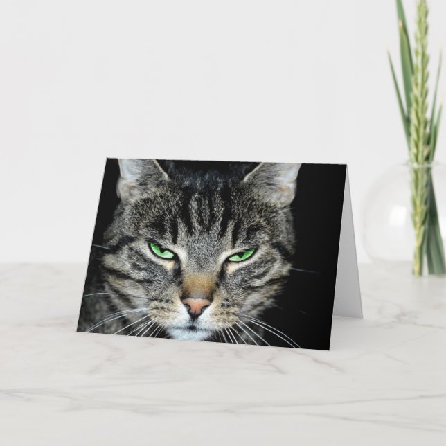 Carte Pensez à vous si loin Angry Cat (Devant)