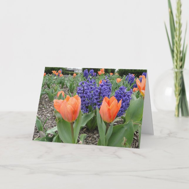 Carte Pensez à vous, Tulipes et Hyacinthes (Devant)