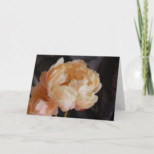 Carte Peonies 6